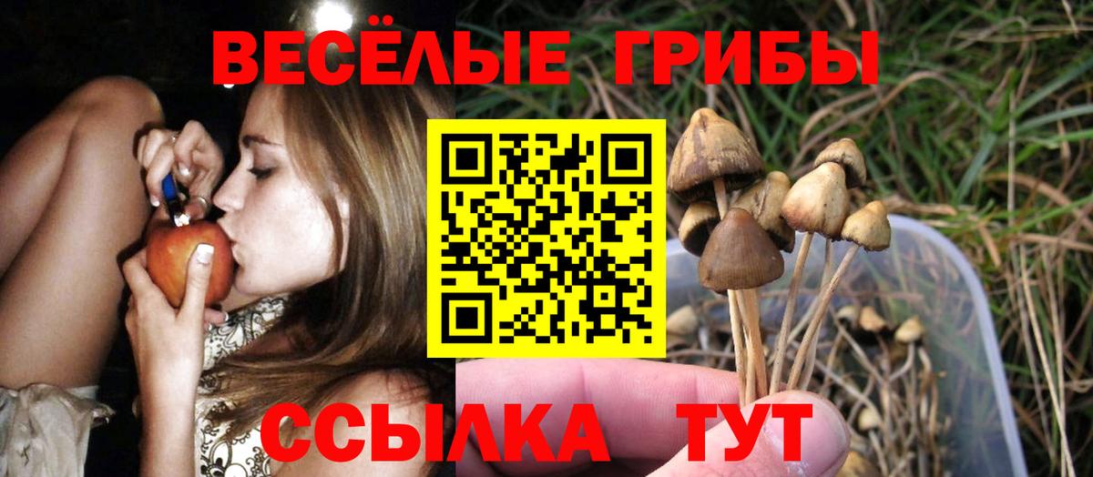 Благовещенск  Псилоцибиновые грибы MAGIC MUSHROOMS  Вход с VPN 