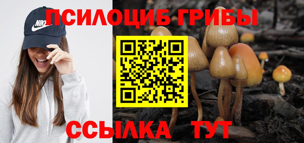 Галлюциногенные грибы Psilocybe Благовещенск